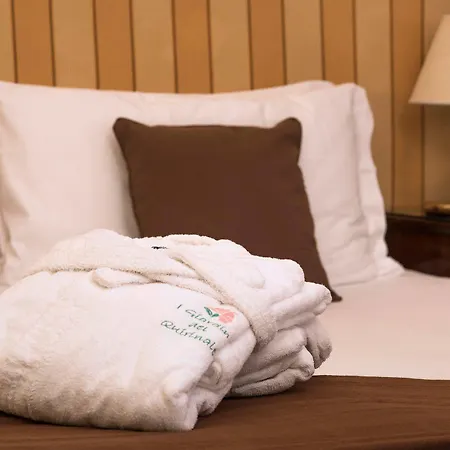 I Giardini Del Quirinale Bed & Breakfast 2*